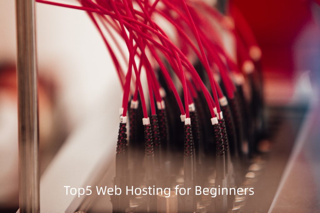 webhost2_top5_beginner
